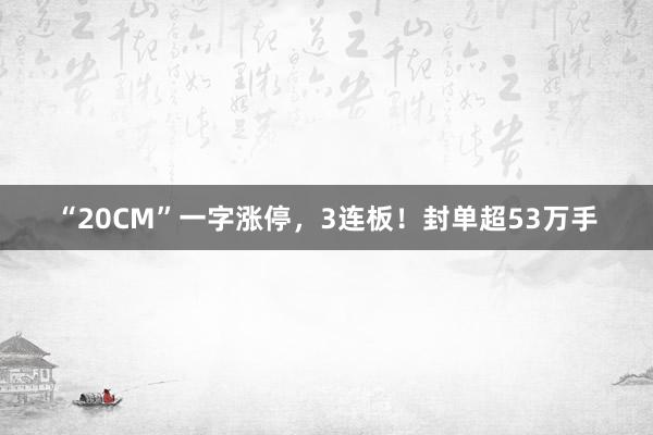 “20CM”一字涨停，3连板！封单超53万手