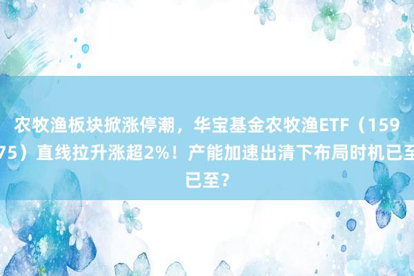 农牧渔板块掀涨停潮，华宝基金农牧渔ETF（159275）直线拉升涨超2%！产能加速出清下布局时机已至？