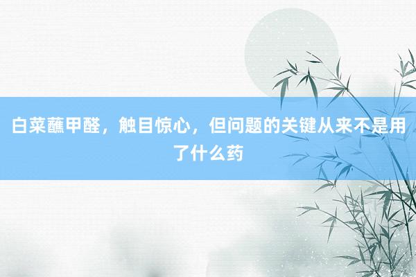 白菜蘸甲醛，触目惊心，但问题的关键从来不是用了什么药